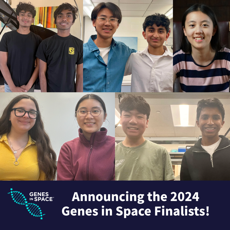 2024 GiS Finalists.png
