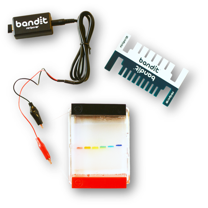 The Bandit™ STEM Electrophoresis Kit