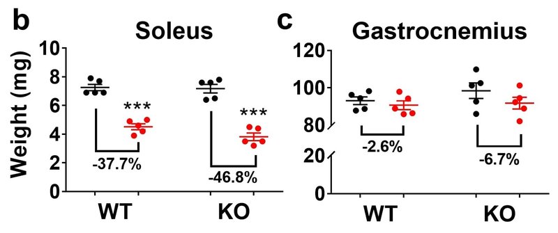 Research brief - cadena fig 1c