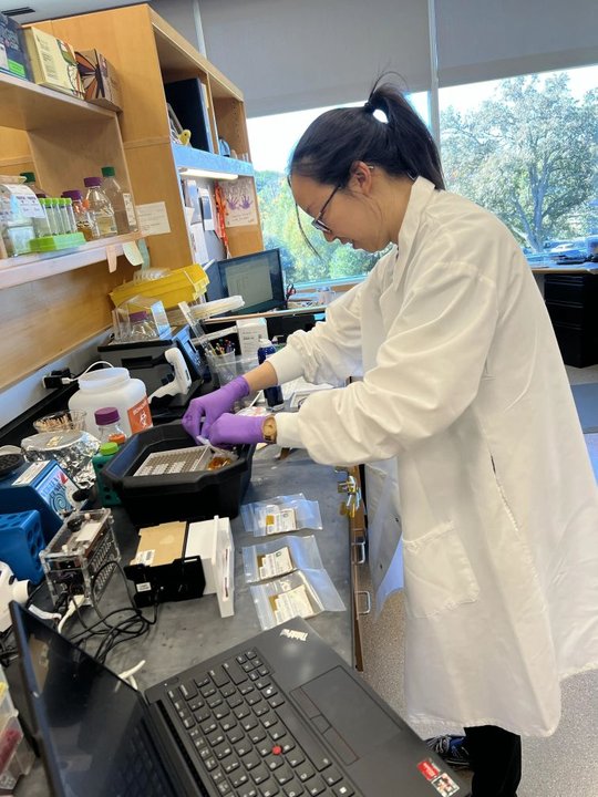 GiS-13 Sample prep