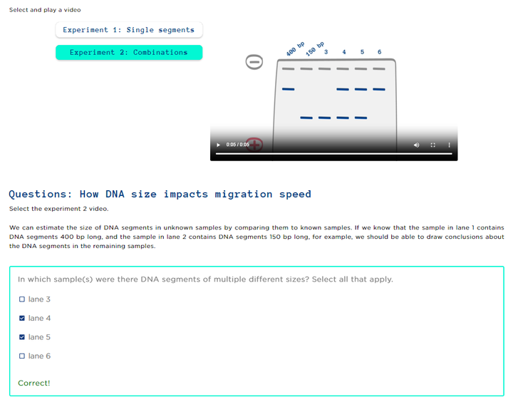 Autograded Assessment