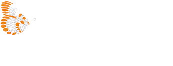 biolabs_DLINkMz.modified.png