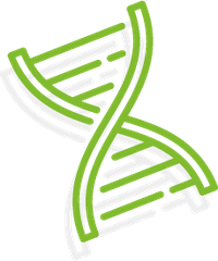 DNA icon